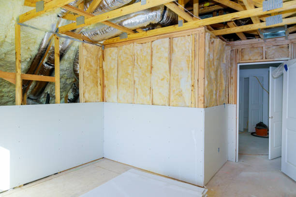 Best Wall Insulation Contractor  in Burt, MI