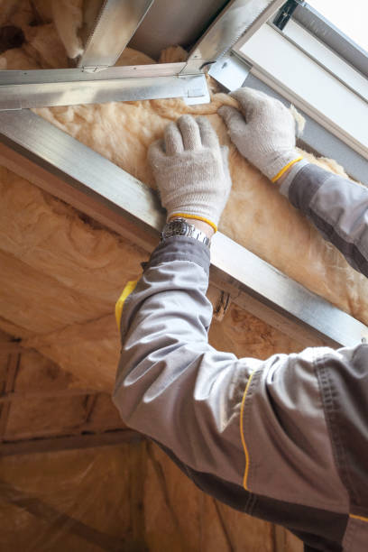 Insulation Inspection Services in Burt, MI