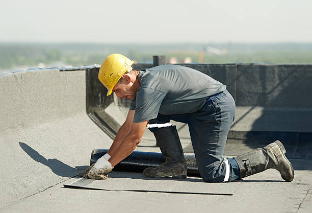 Best Local Insulation Services  in Burt, MI