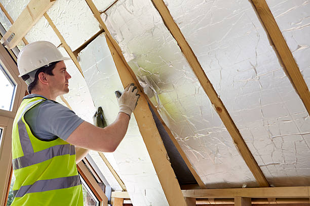 Best Wall Insulation Contractor  in Burt, MI